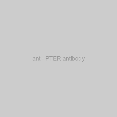 FN Test - anti- PTER antibody